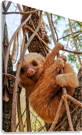 2441431 :: Giclée Stretched Canvas Print